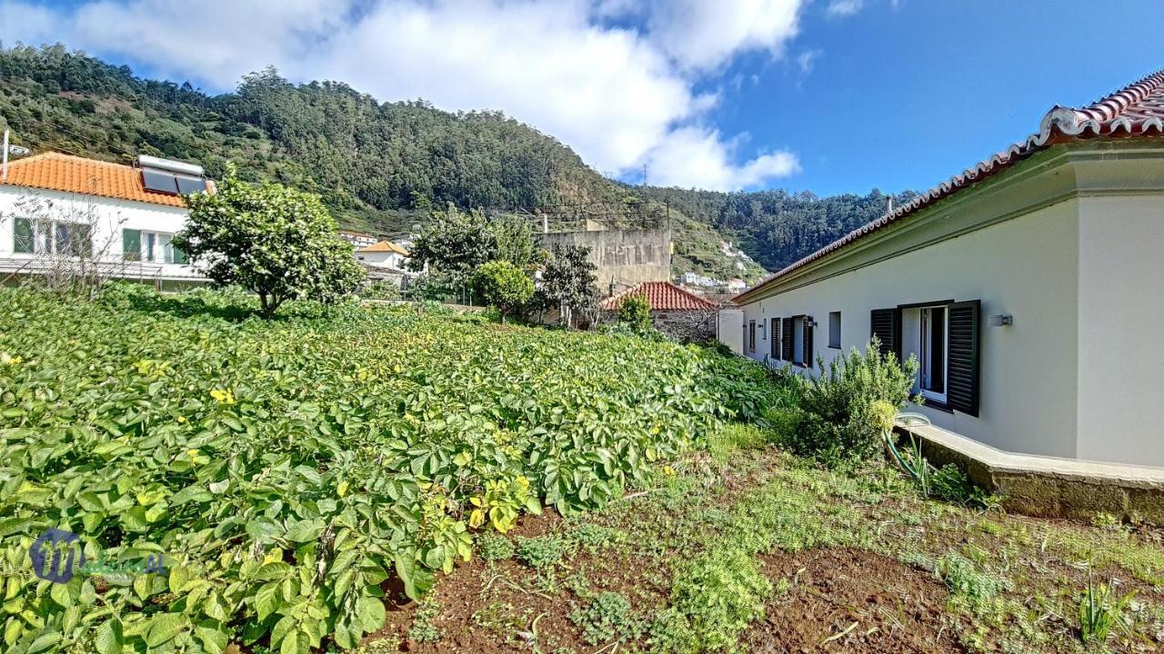 Yohanna'S Accommodation Campanario Exterior photo